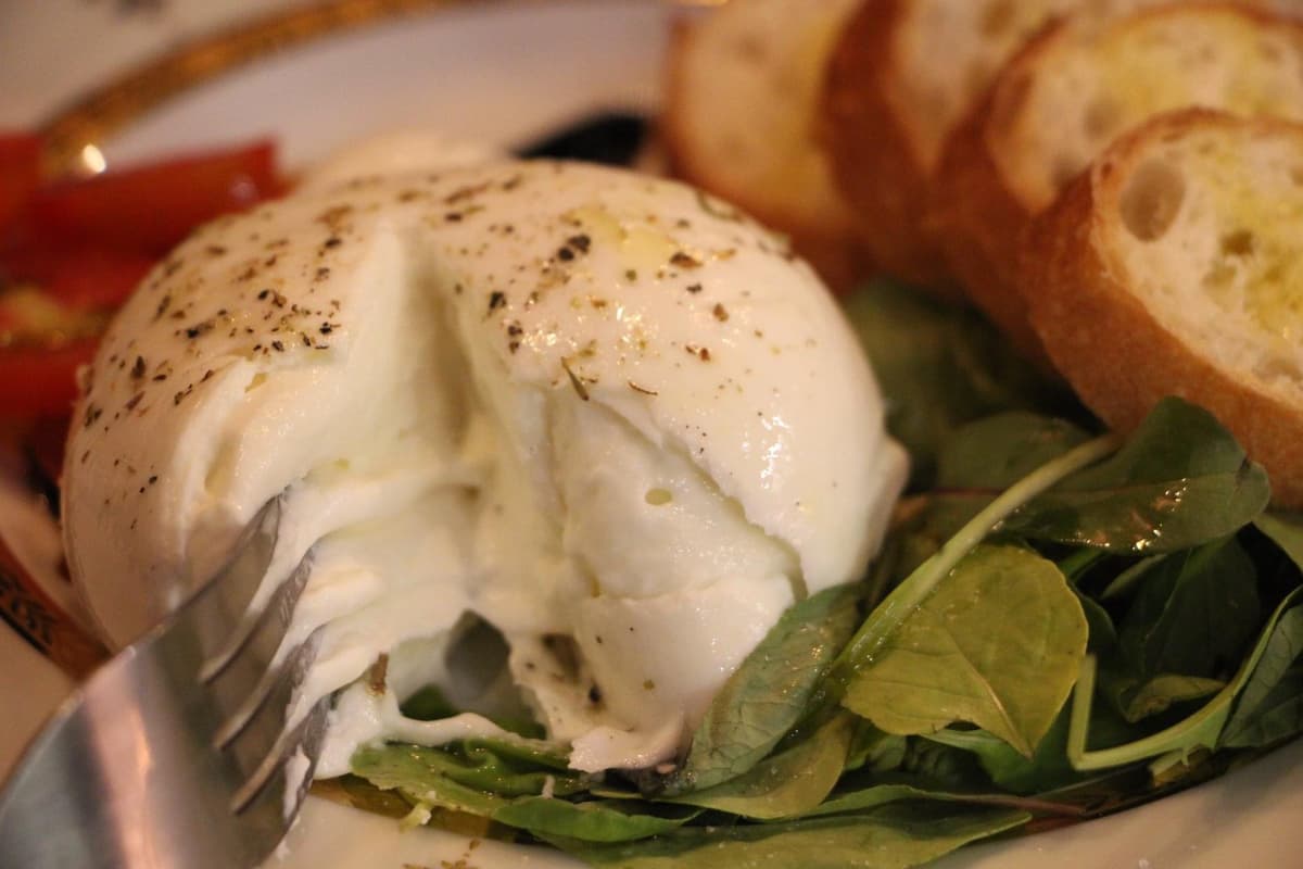 burrata